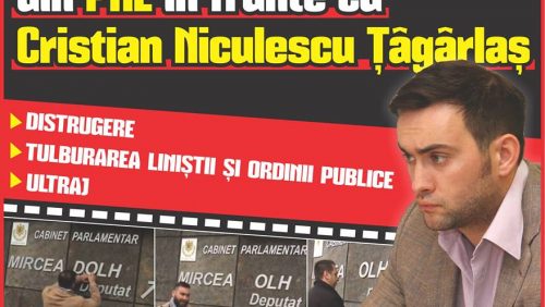 Ce infracțiuni riscă revoluționarii de burete din PNL în frunte cu Cristian Niculescu Țâgârlaș > DISTRUGERE > TULBURAREA LINIȘTII ȘI ORDINII PUBLICE > ULTRAJ