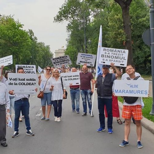 MITING. Cornelia Negruț, președinte ALDE Maramureș: “Am protestat pentru a nu reveni la teroarea anilor ‘50”