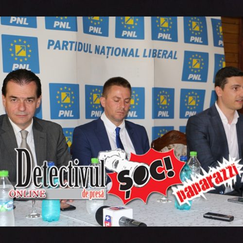 ȘOC! Ionel Bogdan, președinte PNL Maramureș, cere un RAPORT al activității Biroului Executiv Central și al președintelui  Ludovic Orban