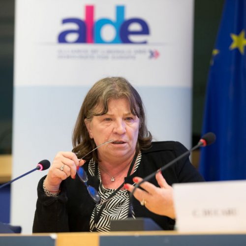 ALDE. Norica Nicolai: “Eu cred că decizia activării Articolului 7 împotriva Ungariei este greșită”