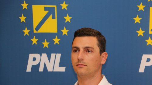 Ionel Bogdan (PNL): “Sub pretextul remanierii, Liviu Dragnea i-a eliminat din executiv pe cei care l-au criticat”