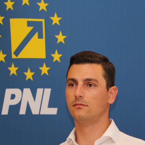 Ionel Bogdan (PNL): “Sub pretextul remanierii, Liviu Dragnea i-a eliminat din executiv pe cei care l-au criticat”