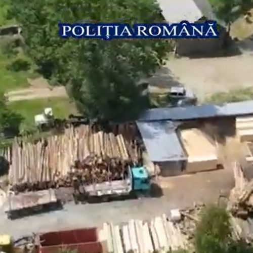 VIDEO. Polițiștii verifică 5 OCOALE silvice din Maramureș și 15 FIRME,  pentru prevenirea și combaterea tăierilor ilegale de arbori