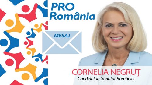 Cornelia Negruț (PRO Romania): Românii trebuie să împiedice prin vot austeritatea propusă de liberali