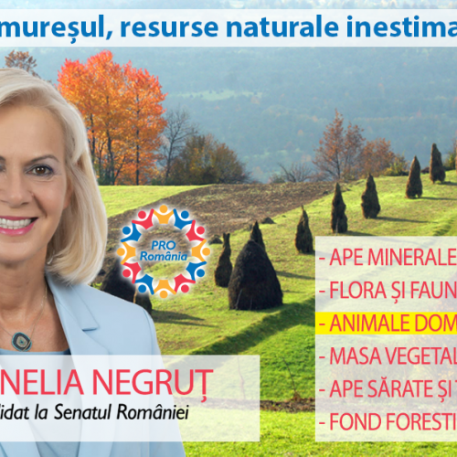 Cornelia Begruț (PRO România): „Să ne producem propria hrană sănătoasă!”