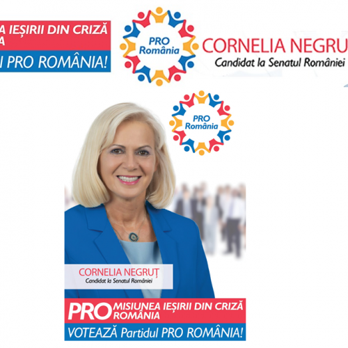 Cornelia Negruț (PRO Romania): Guvernul liberal a dus șomajul la un maxim istoric