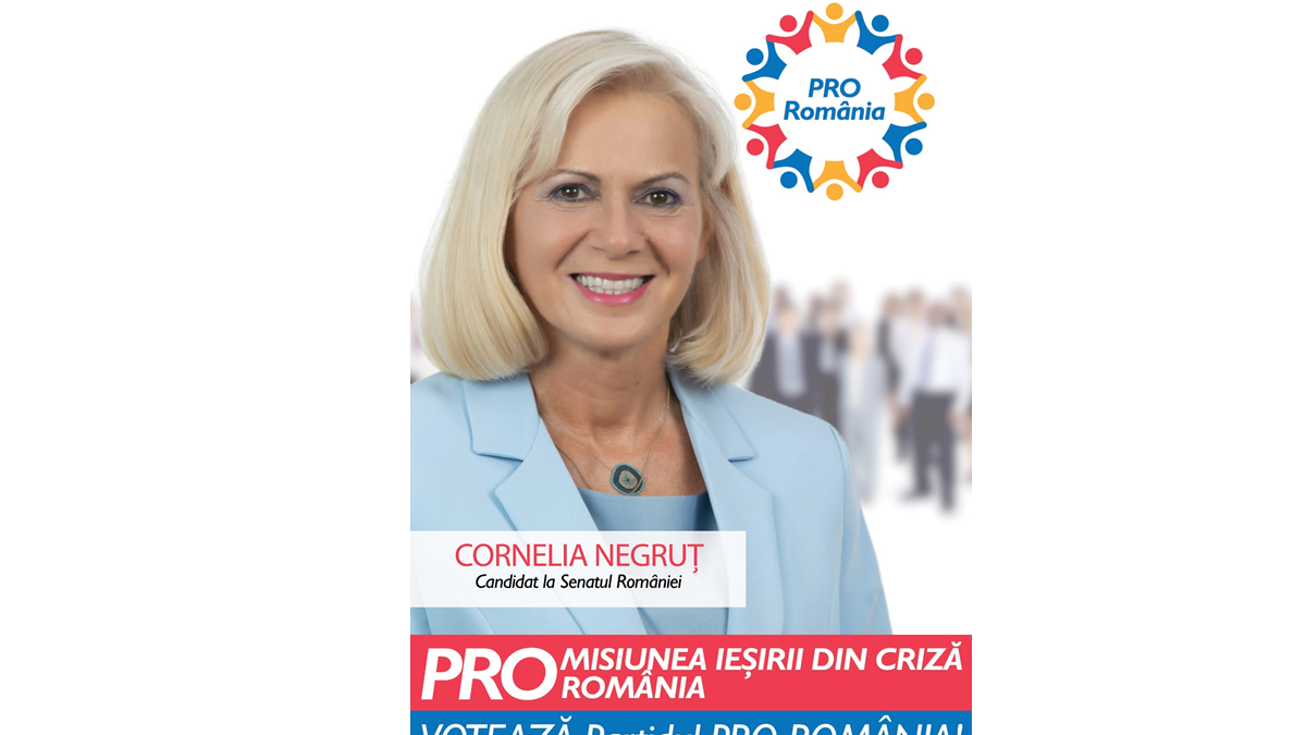 Cornelia Negruț: Ministrul Culturii este obligat să împiedice distrugerea culturii românești. Muzeele, galeriile de artă și alte activități culturale reprezentative sunt în pericol de dispariție