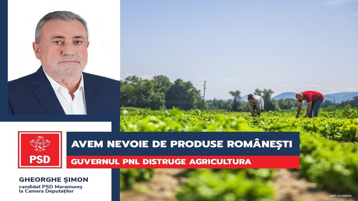 Gheorghe Șimon (PSD): Guvernul PNL, blestemul agriculturii românești!
