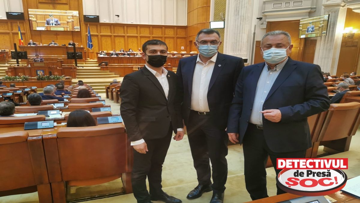 Parlamentarii PSD Maramureș au inițiat un proiect de lege pentru TVA redus la lemnele de încălzire