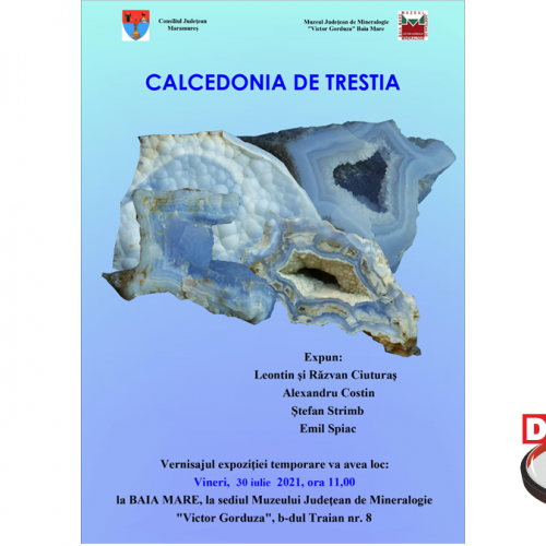 Expoziția ”Calcedonia de Trestia” la Muzeul de Mineralogie Baia Mare