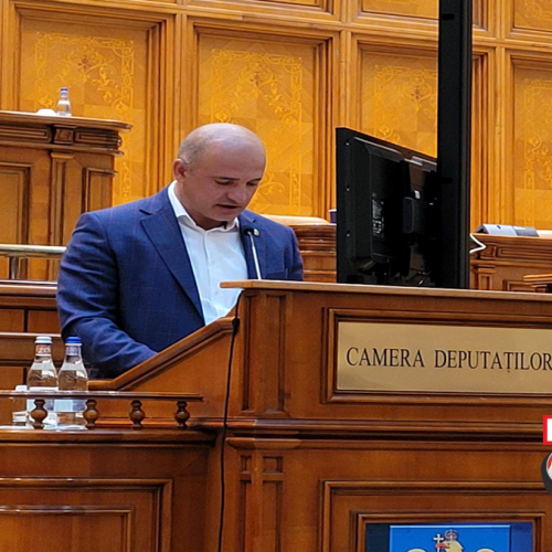 Deputatul Călin Bota A VOTAT pentru reducerea TVA pentru lemnele de foc de la 19% la 5%