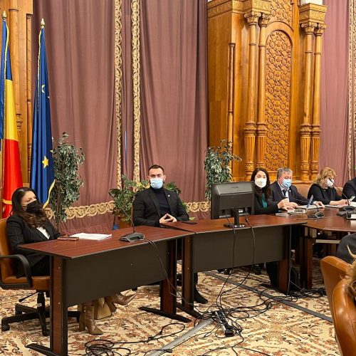 Senatorul Țâgârlaș: Am votat FAVORABIL pentru cei 3 candidați ai României la funcția de JUDECĂTOR la CEDO, Sebastian Răduleț, Bogdan Iancu și Răzvan Horațiu Radu