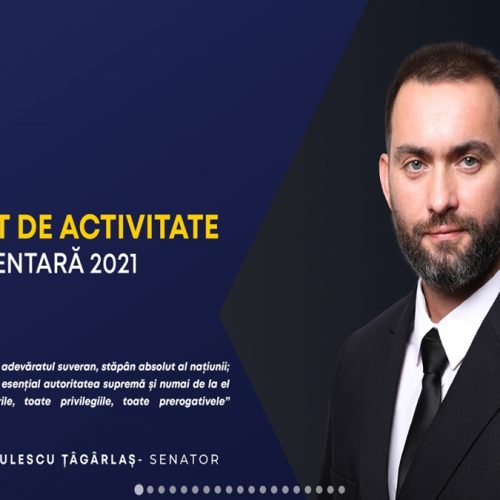 Senatorul Cristian Niculescu Țâgârlaș – RAPORT de activitate pentru anul 2021