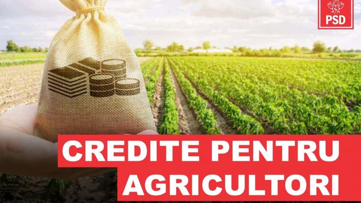 Gabriel Zetea (PSD): Orice agricultor poate merge la CEC și poate solicita/primi un credit de trei ori valoarea subvenției de la APIA