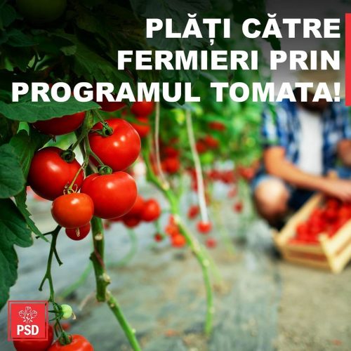 Deputatul Zetea: FERMIERII, plată de 3.000 de euro/fermă pentru legumele cultivate în Ciclul I și 1.000 de euro pentru cele cultivate în Ciclul II, în spații protejate