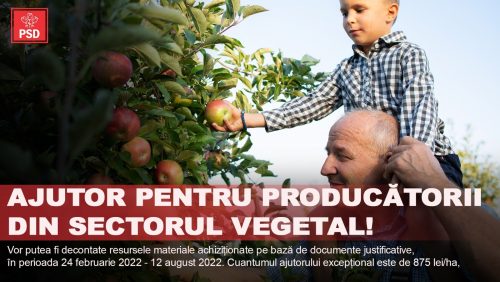 Gabriel Zetea, deputat PSD: AJUTOR pentru producătorii din sectorul VEGETAL