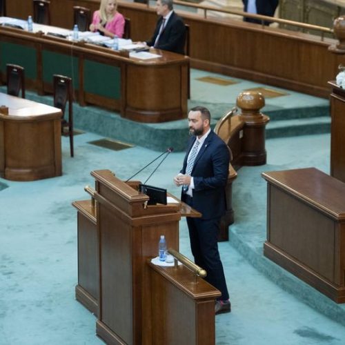 Senatorul Țâgârlaș: Am adoptat Ordonanța de Urgență 119 care prevede plafonarea prețurilor la energie