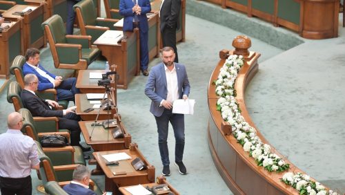 FERM. Cristian Niculescu Țâgârlaș: Am VOTAT pentru nediscriminarea de către stat a PFA- urilor în activitatea lor profesională