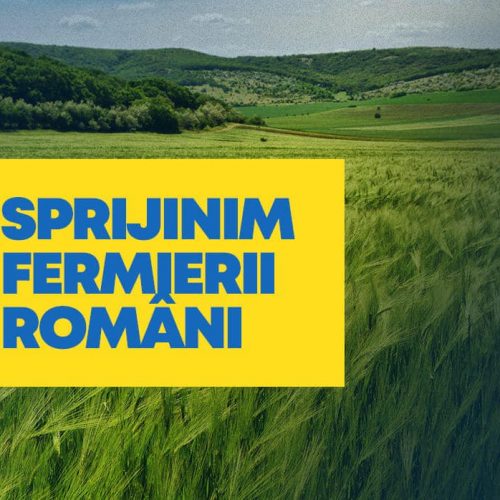 Deputatul Florin Alexe: Sprijinim FERMIERII români. Vor fi adoptate măsuri preventive pentru anumite categorii de cereale produse în Ucraina, precum grâul, porumbul, rapița și floarea-soarelui
