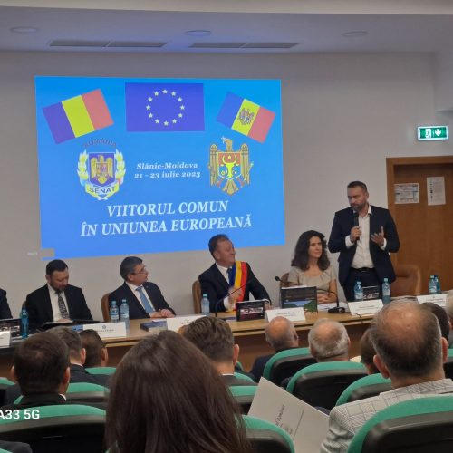 Cristian Niculescu-Țâgârlaș: REZOLUȚIE ca România să devină un îndrumător al Republicii Moldova în procesul de aderare la UE