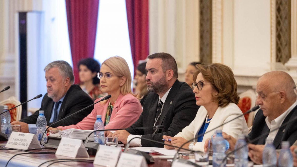 Cristian Niculescu-Țâgârlaș: ”Într-un stat civilizat care apără drepturile cetățenilor, protejarea victimelor violențelor de orice fel reprezintă un obiectiv major, care necesită o legislație fermă în domeniu”