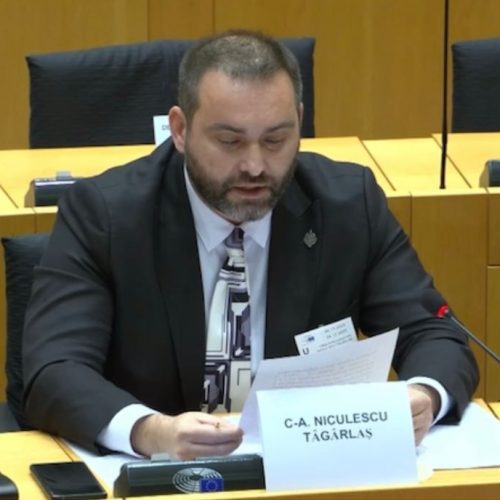 Senatorul Niculescu Țâgârlaș, intervenție în Comisia pentru libertăți civile, justiție și afaceri interne (LIBE) a Parlamentului European