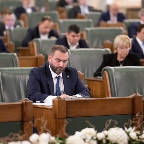 Cristian Niculescu-Țâgârlaș, senator PNL: Fără penali în funcții publice!