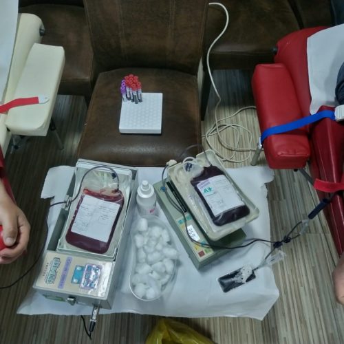 GALERIE FOTO – Angajații VITAL au donat sânge pentru a salva 100 de vieți!
