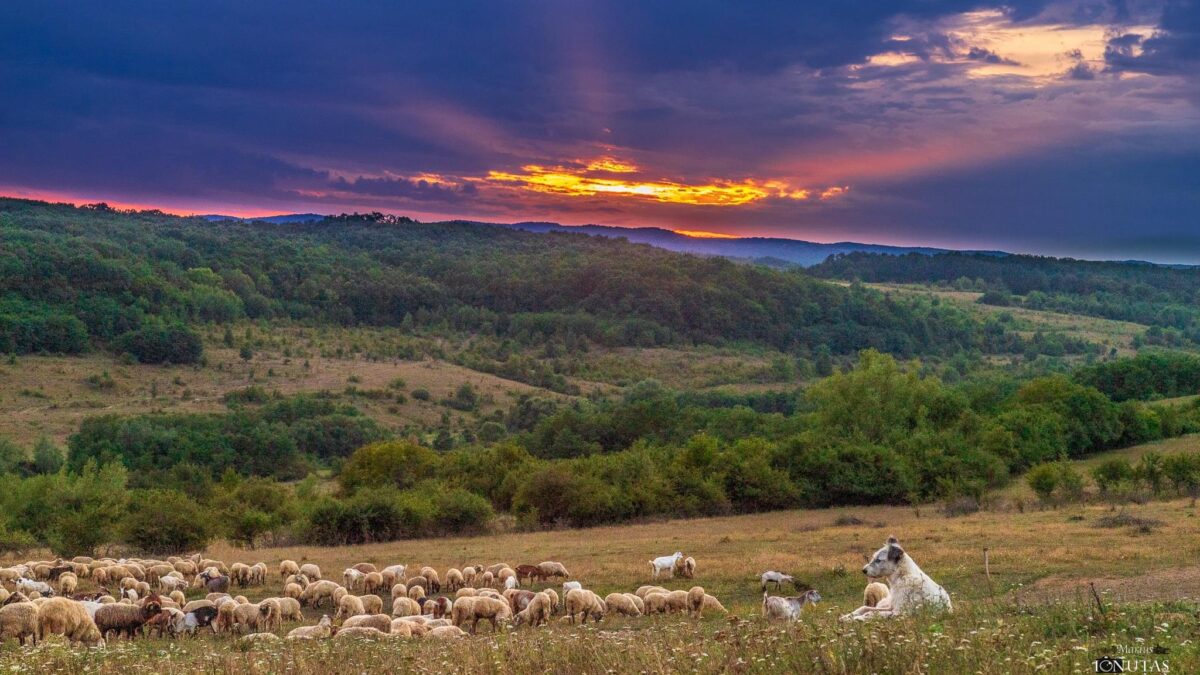 Descoperă România de poveste în Țara Codrului, Maramureș