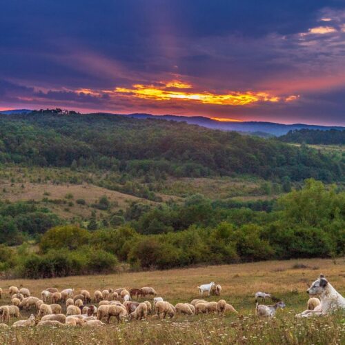 Descoperă România de poveste în Țara Codrului, Maramureș