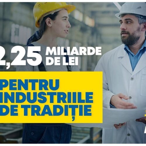 2,25 miliarde lei pentru INDUSTRIILE DE TRADIȚIE – Călin Bota, deputat PNL