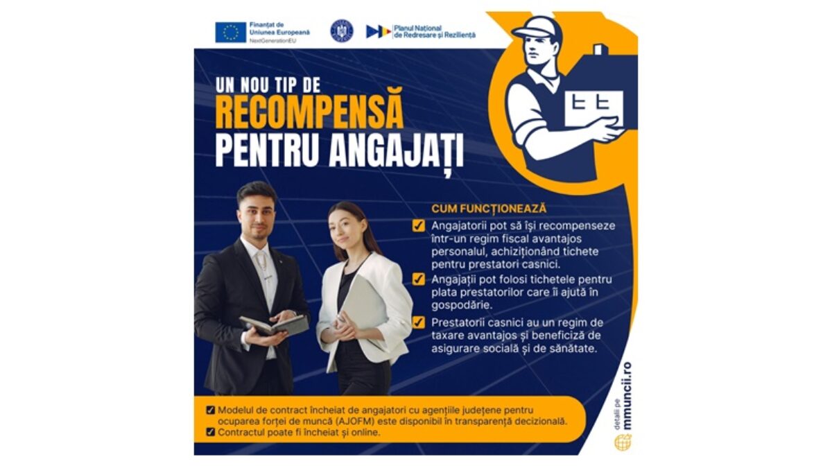 Avantaje pentru angajatorii care oferă salariaților tichete de activități casnice. MMSS a publicat modelul de contract  