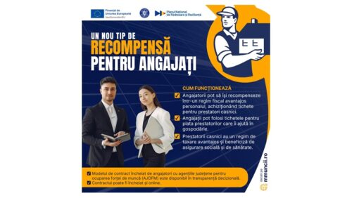 Avantaje pentru angajatorii care oferă salariaților tichete de activități casnice. MMSS a publicat modelul de contract  