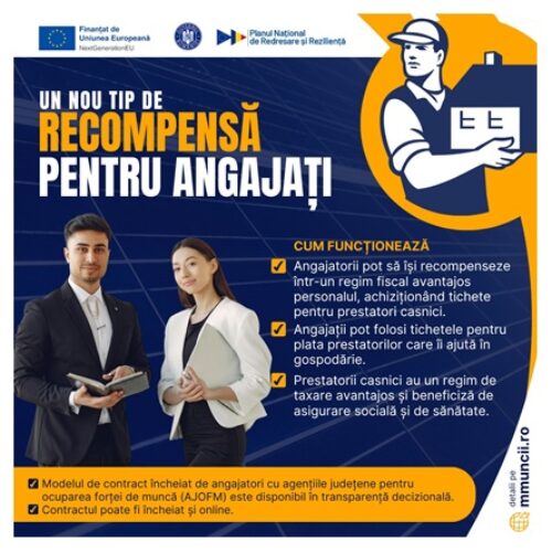 Avantaje pentru angajatorii care oferă salariaților tichete de activități casnice. MMSS a publicat modelul de contract  