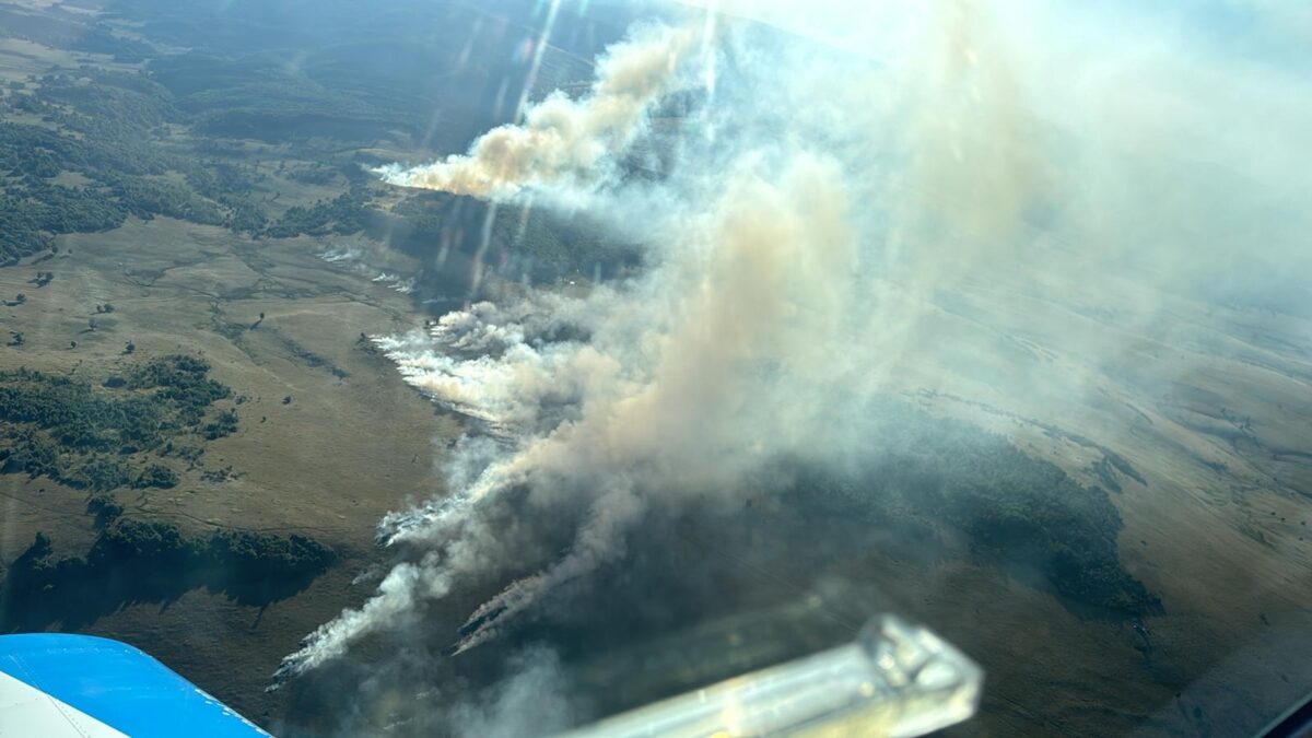 INCENDIU de vegetație forestieră în zona montană Igniș, spre localitatea Desești