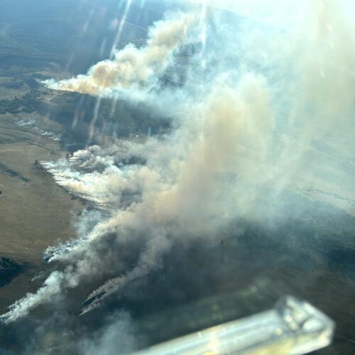 INCENDIU de vegetație forestieră în zona montană Igniș, spre localitatea Desești