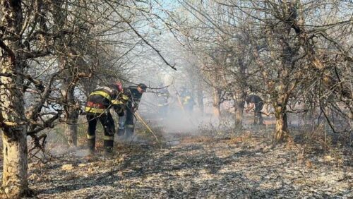 Ionel Bogdan: În urma incendiului care a avut loc în Maramureș, au mai rămas câteva focare fumegânde care urmează a fi lichidate în cursul zilei de astăzi