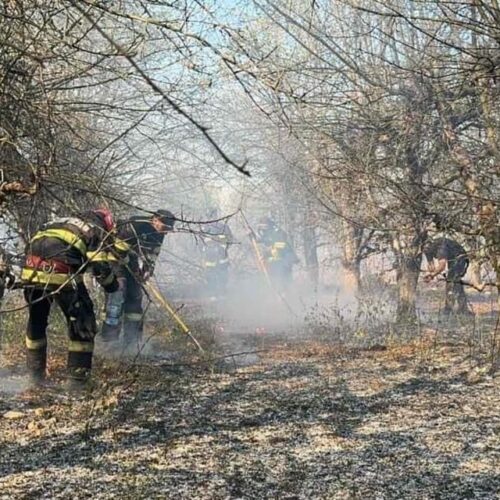 Ionel Bogdan: În urma incendiului care a avut loc în Maramureș, au mai rămas câteva focare fumegânde care urmează a fi lichidate în cursul zilei de astăzi