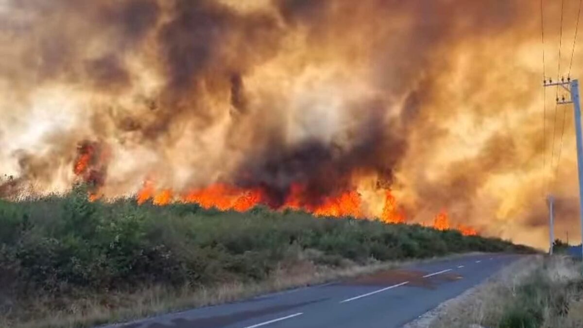 POMPIERII au intervenit PROMPT la INCENDIUL de ieri din Maramureș după primul apel la 112, de la ora 12:50. PREFECTUL Rudolf Stauder a ALERTAT Bucureștiul care a trimis ajutoare!