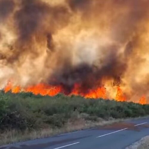 POMPIERII au intervenit PROMPT la INCENDIUL de ieri din Maramureș după primul apel la 112, de la ora 12:50. PREFECTUL Rudolf Stauder a ALERTAT Bucureștiul care a trimis ajutoare!