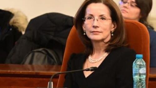 Secretarul de stat din cadrul Ministerului Familiei, Tineretului și Egalității de Șanse, Costin Hendea Anca, susține Programul Național de Internship al Guvernului României