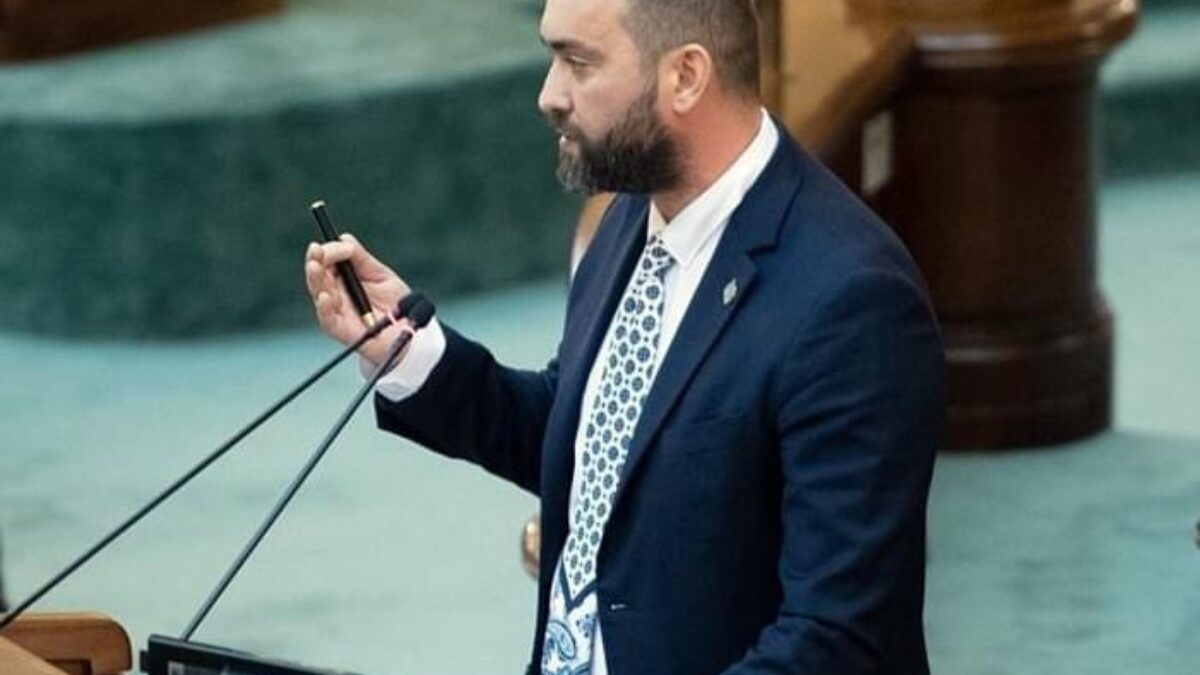 PSD doar pretinde că manifestă empatie față de asistenții persoanelor cu handicap grav – Cristian Niculescu Țâgârlaș, senator PNL