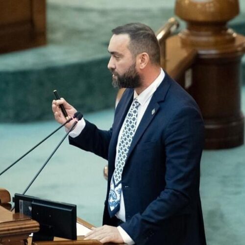 PSD doar pretinde că manifestă empatie față de asistenții persoanelor cu handicap grav – Cristian Niculescu Țâgârlaș, senator PNL