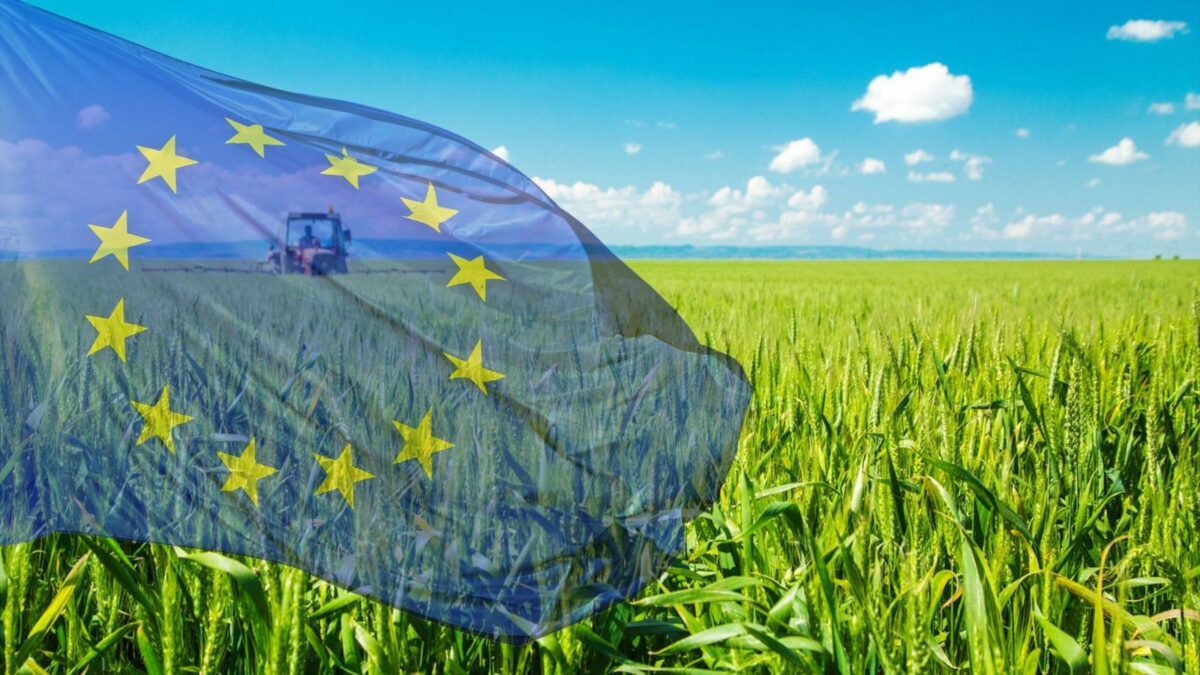 Congresul European al Fermierilor, în România. Bucureștiul devine Capitala Agriculturii din UE timp de 3 zile în octombrie!