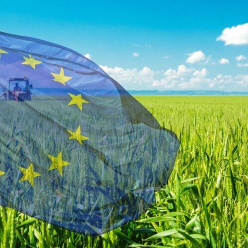 Congresul European al Fermierilor, în România. Bucureștiul devine Capitala Agriculturii din UE timp de 3 zile în octombrie!