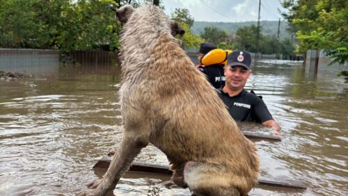 ȘOC! 4 persoane au MURIT din cauza VREMII EXTREME și a VIITURILOR! Zeci de persoane au fost EVACUATE!