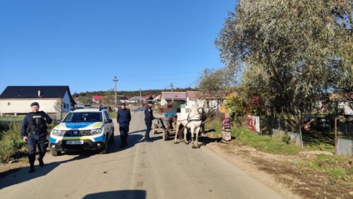 IPJ Maramureș – Acțiune PROACTIVĂ desfășurată de POLIȚIȘTI pentru ASIGURAREA măsurilor de ORDINE și SIGURANȚĂ