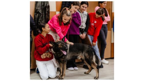 Polițiștii MARAMUREȘENI sărbătoresc Ziua Mondiala a ANIMALELOR