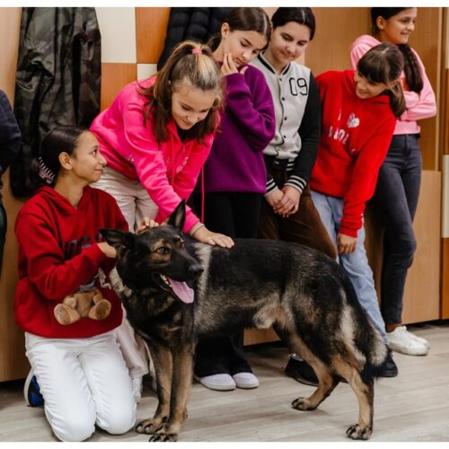 Polițiștii MARAMUREȘENI sărbătoresc Ziua Mondiala a ANIMALELOR