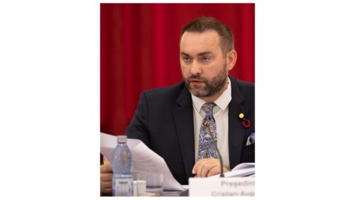 Cristian Niculescu Țâgârlaș: Pot conluziona că DECIZIA CCR în cazul Șoșoacă este NEDEMOCRATICĂ și în afara sferei de competență a AUTORITĂȚII